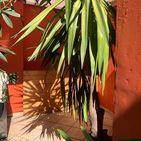 Villa Coyoacan Mexico By Eksteriør billede