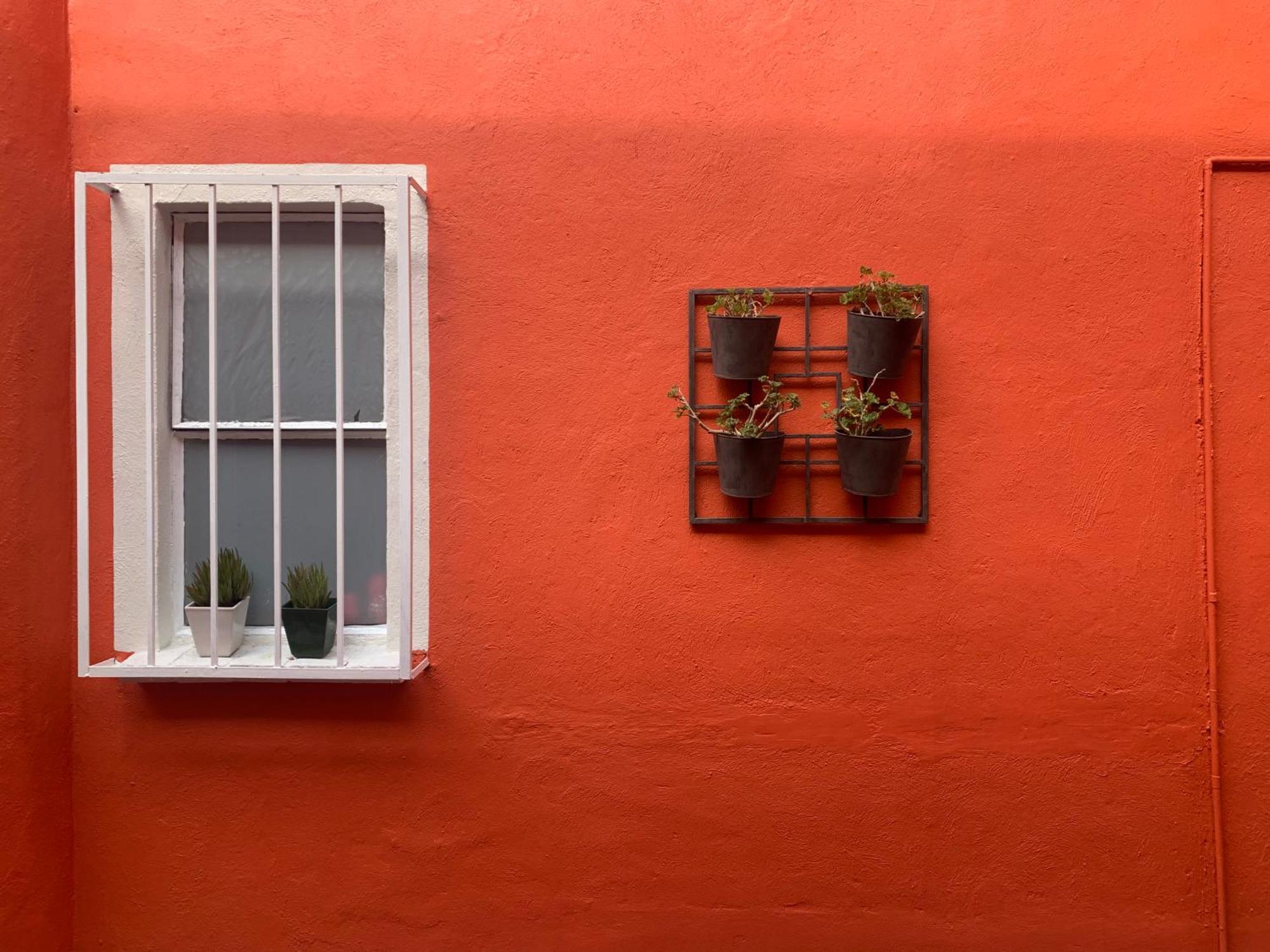 Villa Coyoacan Mexico By Eksteriør billede