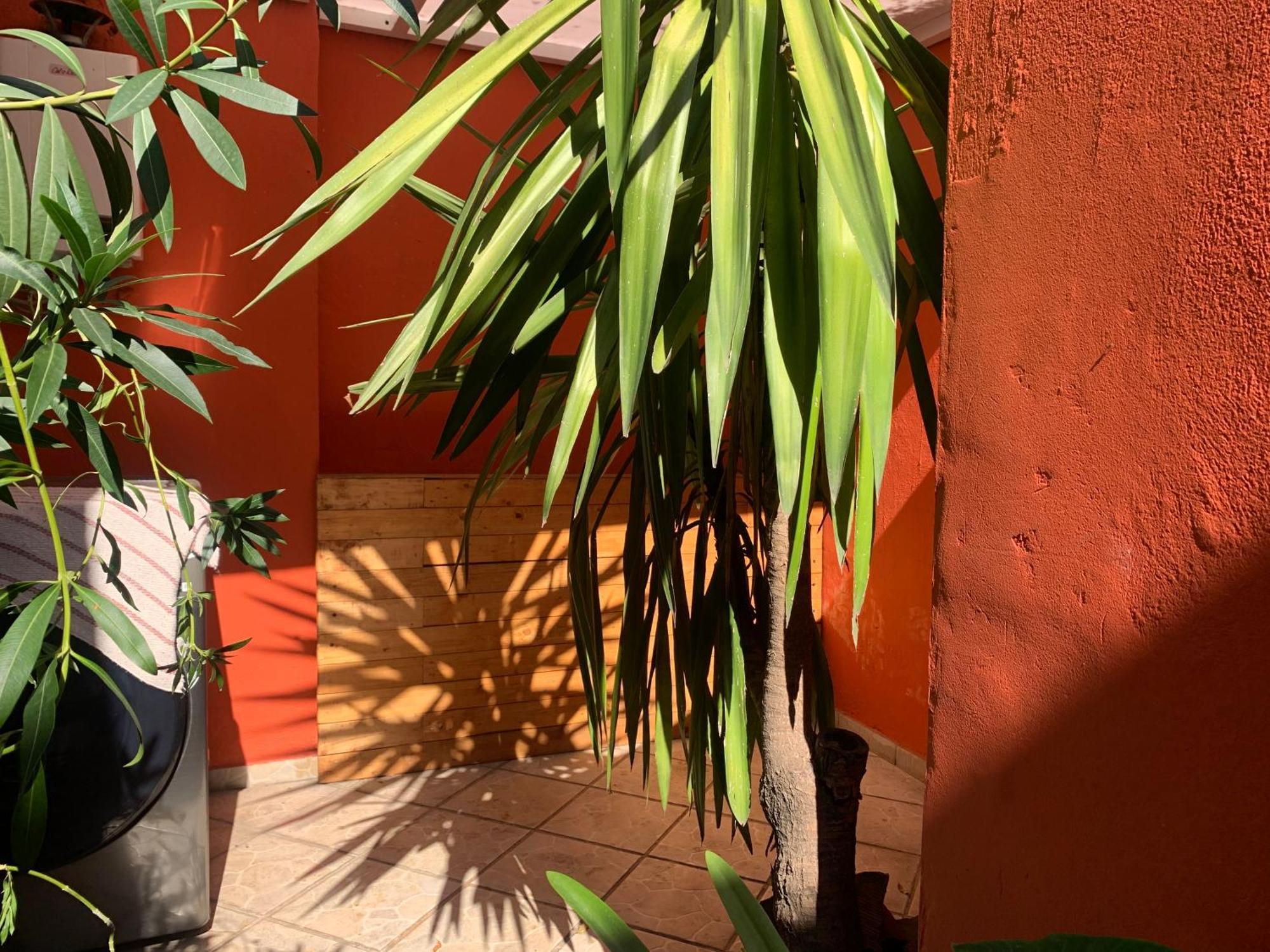 Villa Coyoacan Mexico By Eksteriør billede