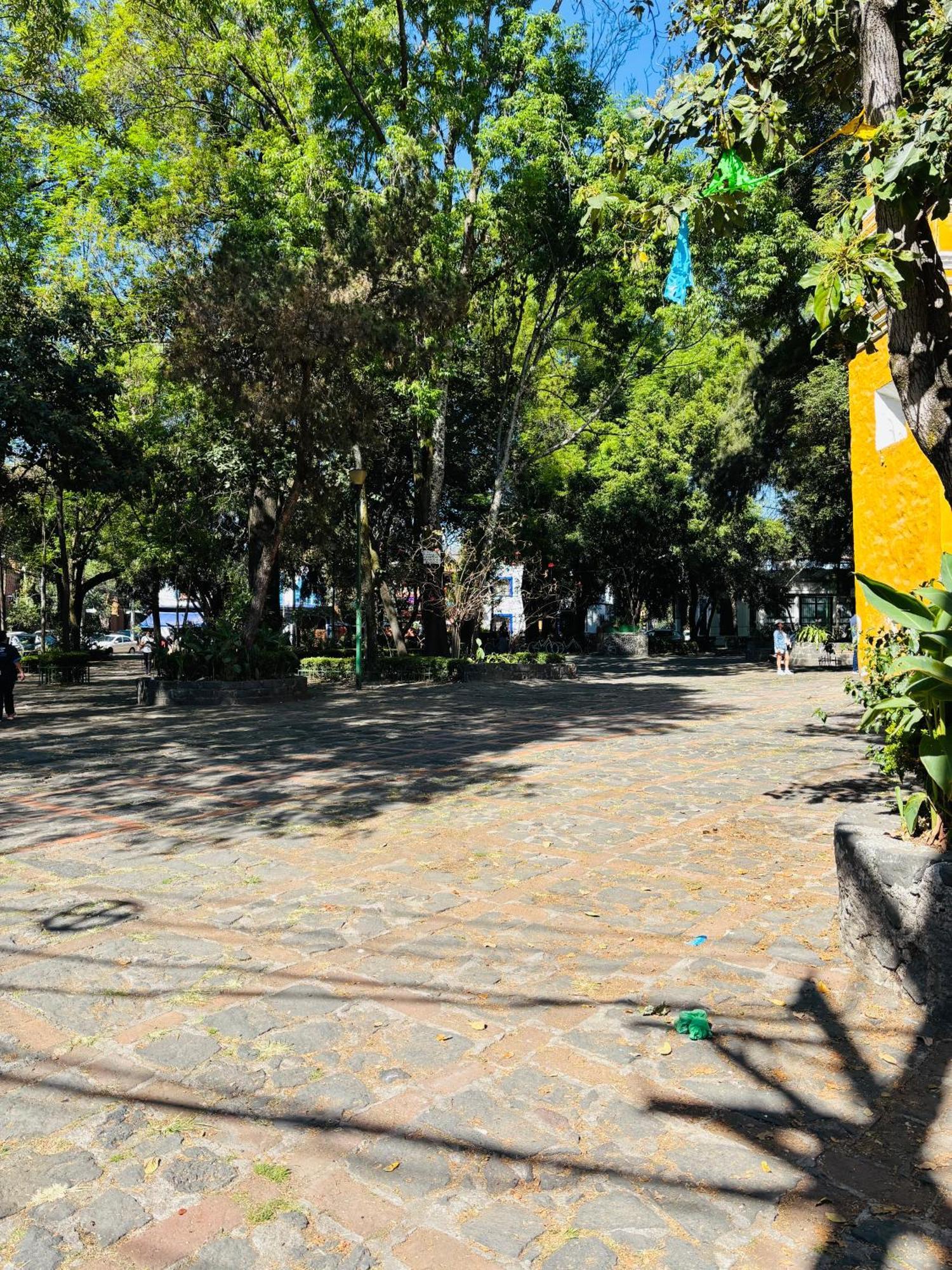 Villa Coyoacan Mexico By Eksteriør billede